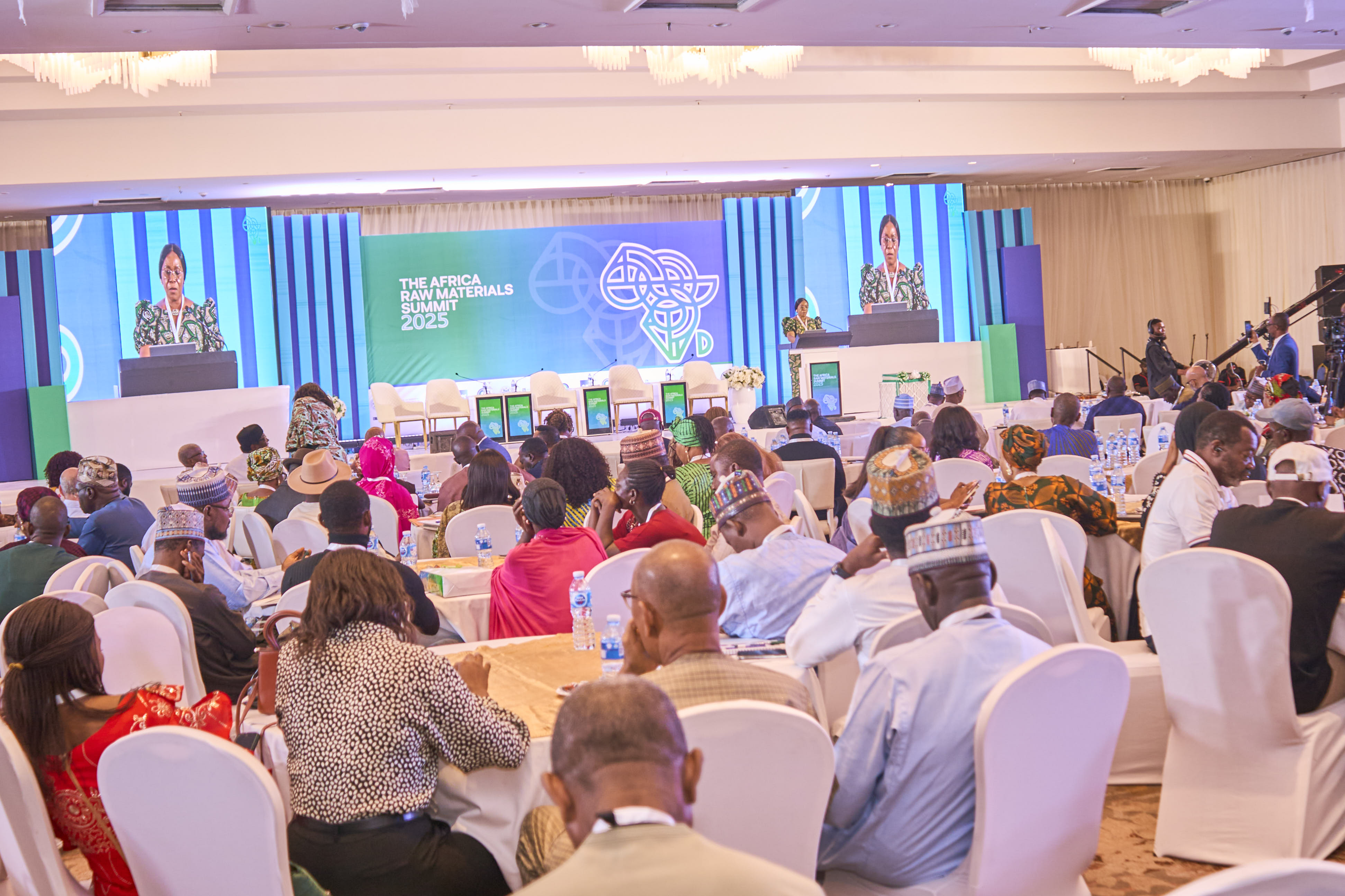 Africa Raw Materials Summit